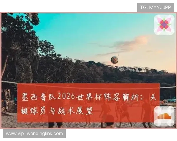 捷克对墨西哥战术分析：两队阵型布局与关键球员表现详解